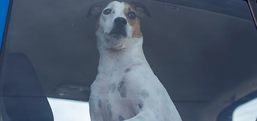 Car Lockout Solutions in Los Gatos, California